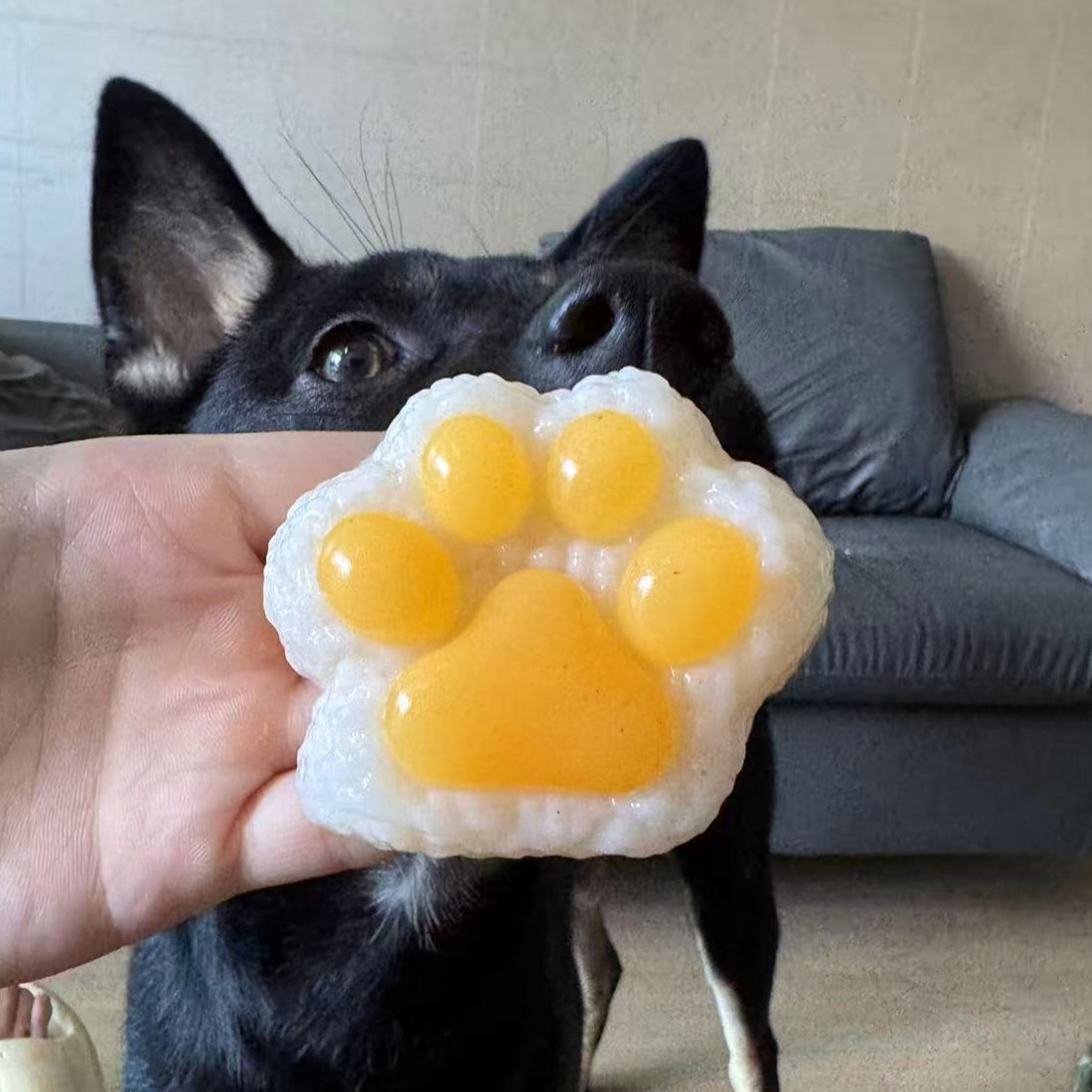 Paw-Shaped Rice Ball Squishy Toy - Cute Dog Paw Stress Relief Fidget Sensory Toy