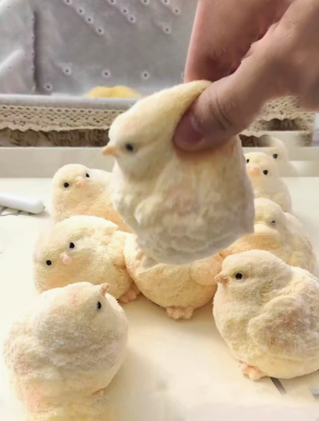 Fluffy Chick Squishy Toy - Kawaii Stress Relief